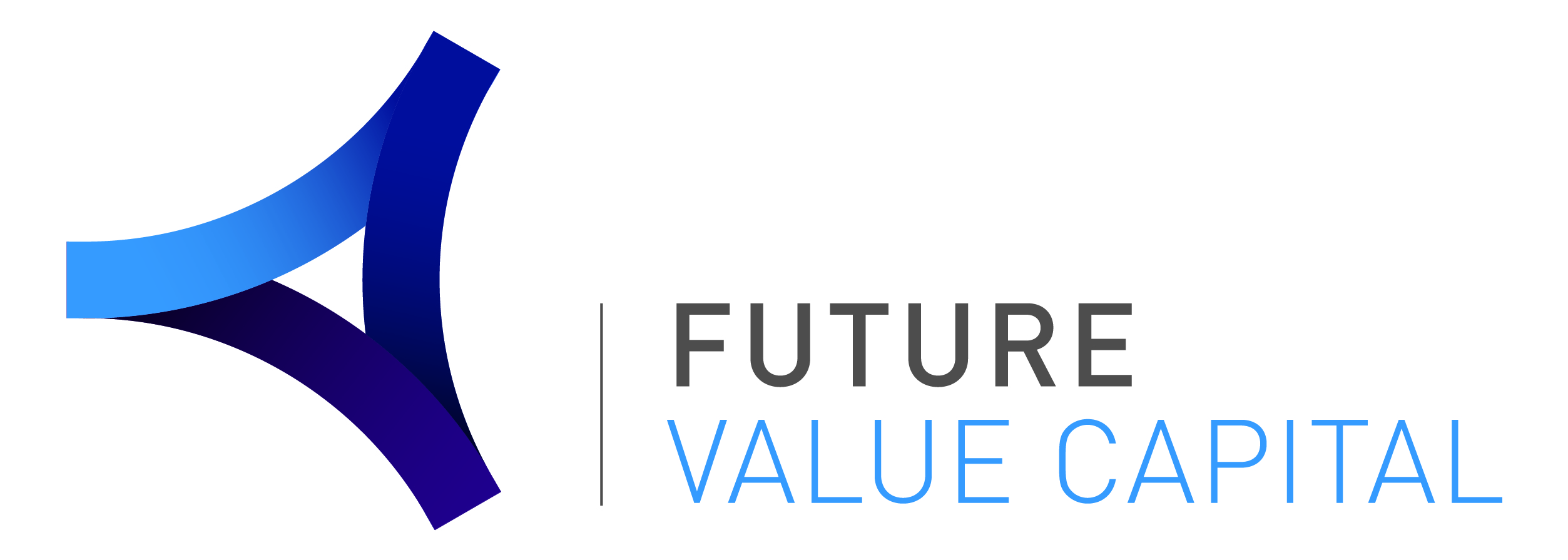 Logo Future Value Capital horizontal